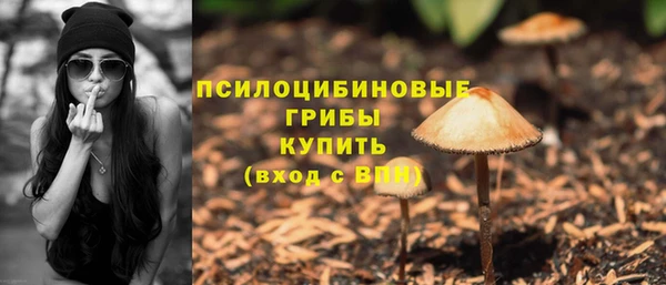 прущая мука Армянск