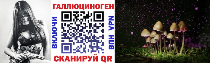 гидра как войти  Изобильный  Псилоцибиновые грибы Magic Shrooms 
